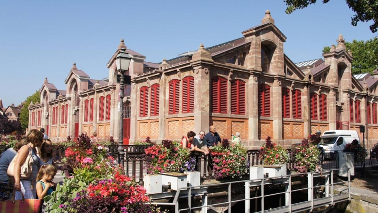 Colmar Historic Center - Belle Alsace - Studio 1 Terrasse - Bookingalsace Dış mekan fotoğraf